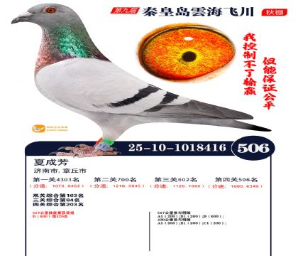 녺��ɴ�����506��