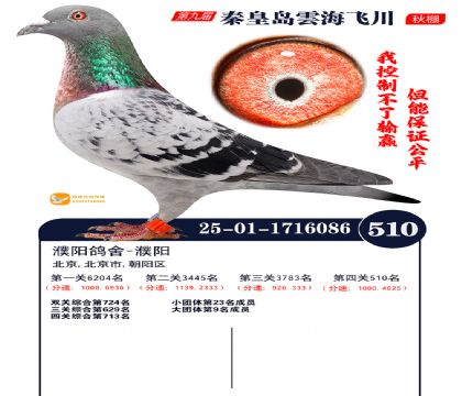 녺��ɴ�����510��