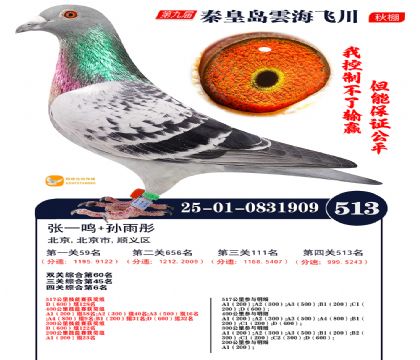 녺��ɴ�����513��