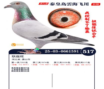 녺��ɴ�����517��