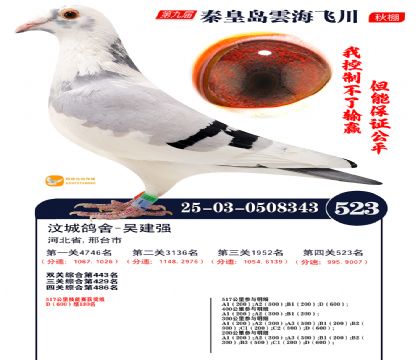 녺��ɴ�����523��