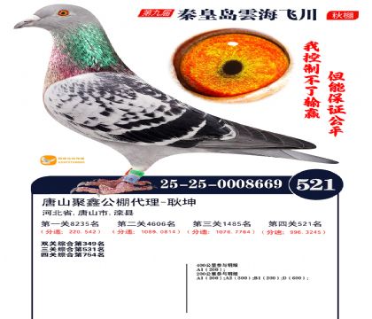 녺��ɴ�����521��