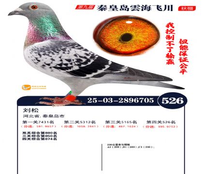 녺��ɴ�����526��