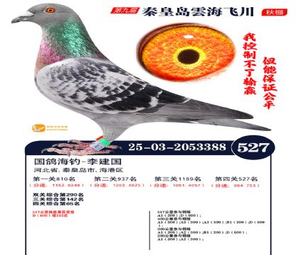 녺��ɴ�����527��