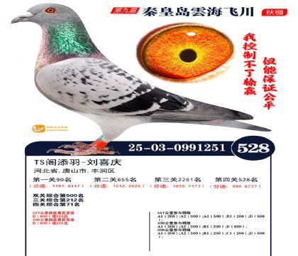 녺��ɴ�����528��