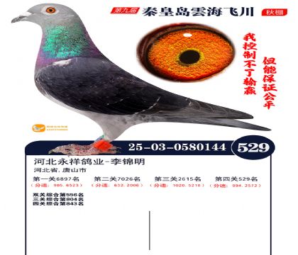 녺��ɴ�����529��