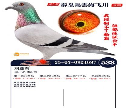 녺��ɴ�����533��