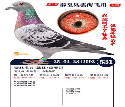 녺��ɴ�����531��