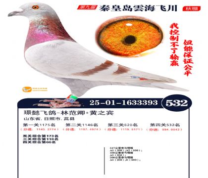 녺��ɴ�����532��