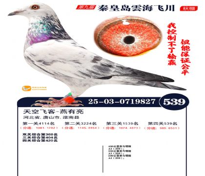 녺��ɴ�����539��