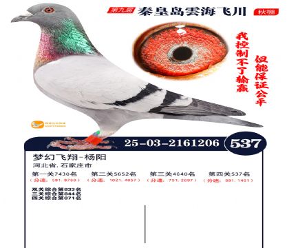 녺��ɴ�����537��