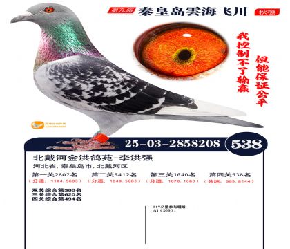 녺��ɴ�����538��