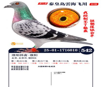 녺��ɴ�����542��