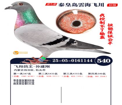 녺��ɴ�����540��