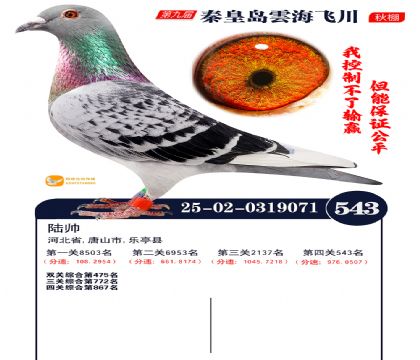 녺��ɴ�����543��