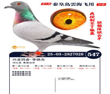 녺��ɴ�����547��