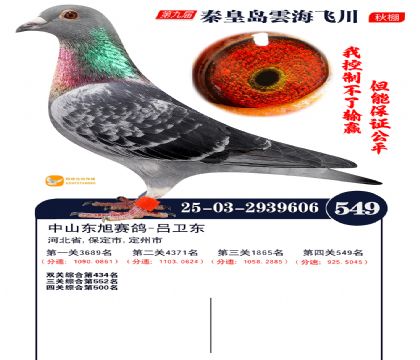 녺��ɴ�����549��