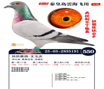 녺��ɴ�����550��