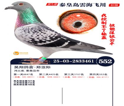 녺��ɴ�����552��