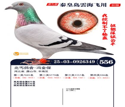 녺��ɴ�����556��