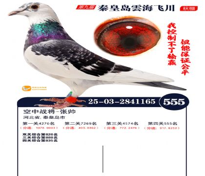 녺��ɴ�����555��