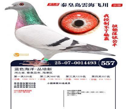 녺��ɴ�����557��