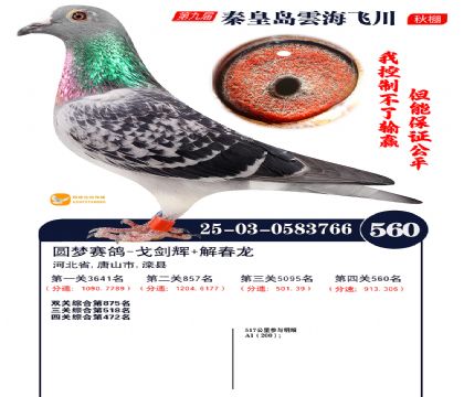 녺��ɴ�����560��