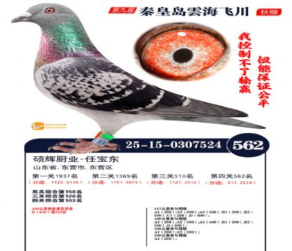 녺��ɴ�����562��