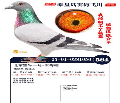 녺��ɴ�����564��