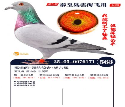 녺��ɴ�����563��