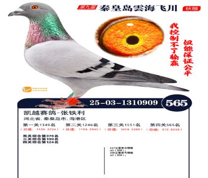 녺��ɴ�����565��