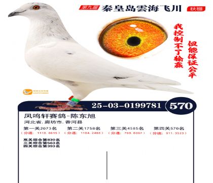 녺��ɴ�����570��