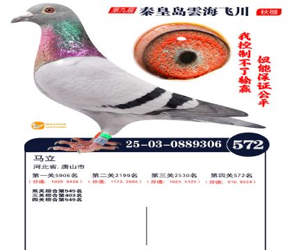 녺��ɴ�����572��