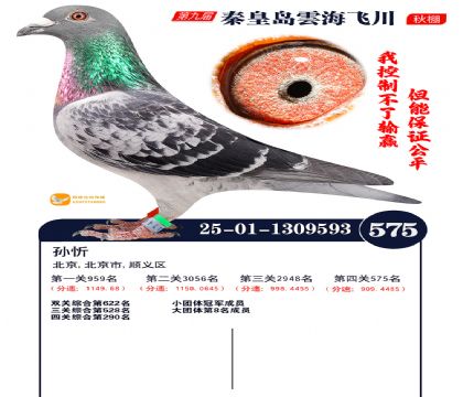 녺��ɴ�����575��