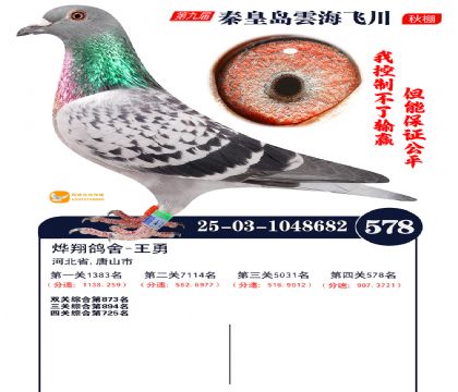 녺��ɴ�����578��