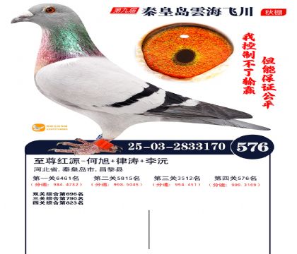 녺��ɴ�����576��