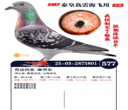 녺��ɴ�����577��