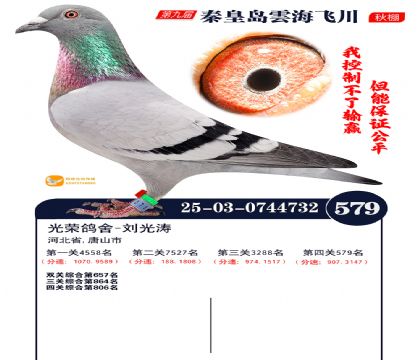 녺��ɴ�����579��