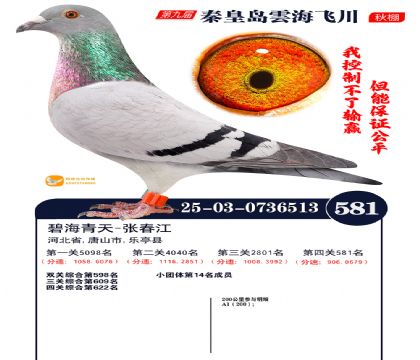 녺��ɴ�����581��