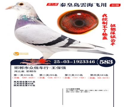 녺��ɴ�����583��