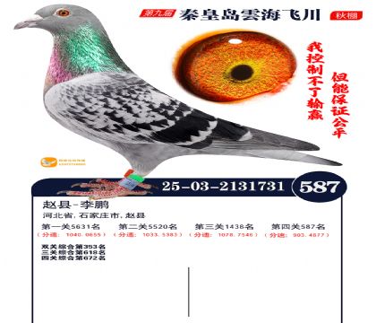 녺��ɴ�����587��