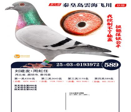 녺��ɴ�����589��