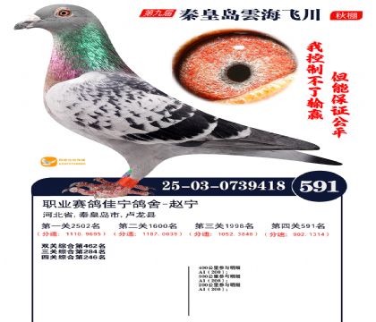 녺��ɴ�����591��