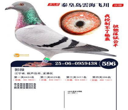 녺��ɴ�����596��