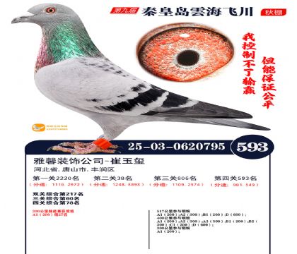 녺��ɴ�����593��