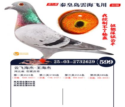 녺��ɴ�����599��