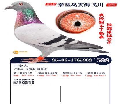 녺��ɴ�����598��