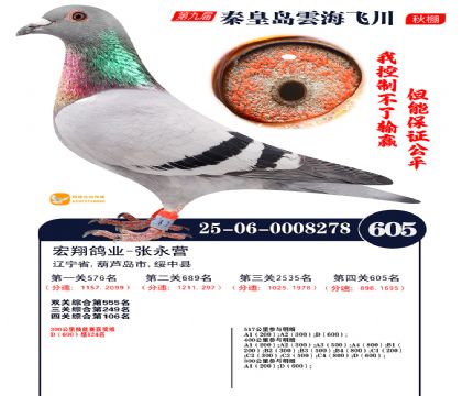 녺��ɴ�����605��