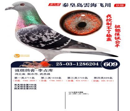 녺��ɴ�����609��