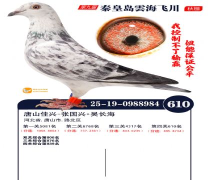 녺��ɴ�����610��